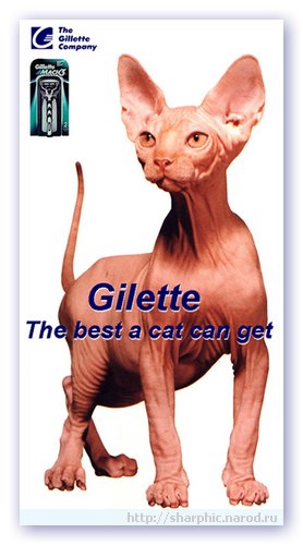 GILETTE.JPG